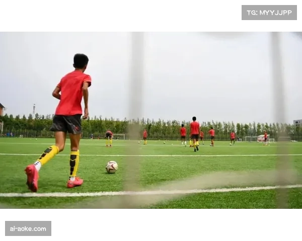 挪威足球关注青训体系,旨在培养更多顶尖人才 挪威足球关注青训体系,旨在培养更多顶尖人才